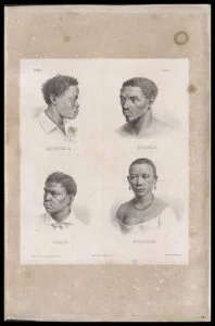 Descrição da Imagem: A imagem apresenta quatro retratos em estilo de gravura, mostrando perfis de indivíduos africanos. Cada retrato é acompanhado por uma legenda que identifica a origem da pessoa retratada. No canto superior esquerdo, um homem é identificado como "Benguela". No canto superior direito, outro homem é chamado de "Congo". No canto inferior esquerdo, um terceiro homem é identificado como "Mina" e no canto inferior direito, uma mulher é identificada como "Moçambique". Os retratos, com seus detalhes em gravura, destacam os traços faciais e penteados característicos de cada indivíduo. 