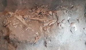 Descrição da imagem: A imagem mostra ossos fragmentados e dispersos sobre um solo arenoso e poeirento, com pedaços de diferentes tamanhos, variando entre pequenos estilhaços e fragmentos maiores, todos em tonalidades de marrom claro. O cenário é marcado pela desolação, e o local é o Cemitério dos Pretos Novos